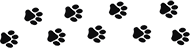 cat paw prints