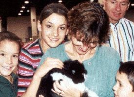 Spectators enjoying petting a Persian cat
