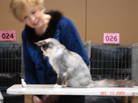 Betty White and Maine Coon meet the pengin