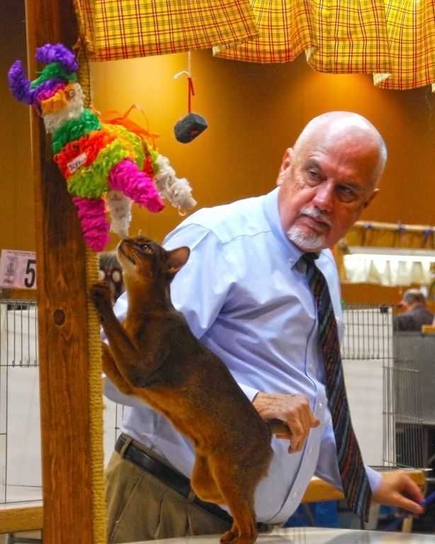 Wain Harding and Aby Kitten - Cable