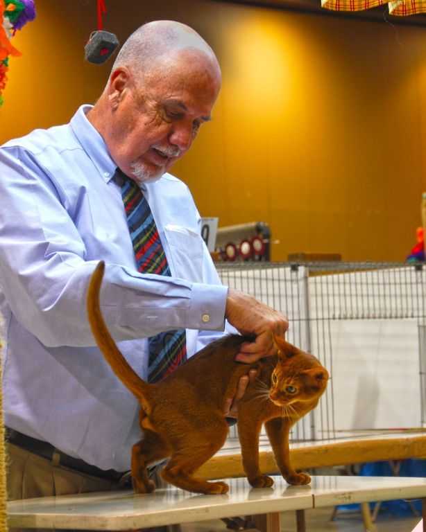 Wain Harding and Aby Kitten - Cable