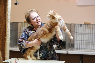 Photo from the 2012 cat show