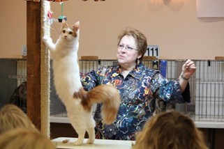 Photo from the 2012 cat show