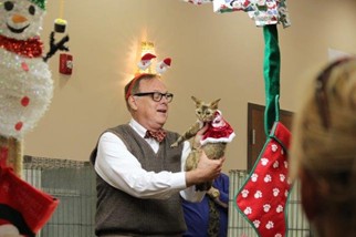 Photo from the 2012 cat show