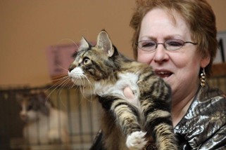 Photo from the 2012 cat show