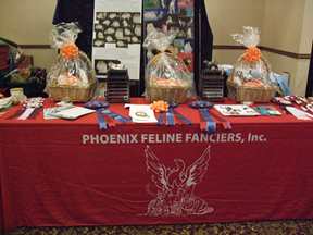 Best cat trophies and awards